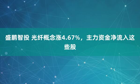 盛鹏智投 光纤概念涨4.67%，主力资金净流入这些股