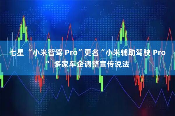 七星 “小米智驾 Pro”更名“小米辅助驾驶 Pro” 多家车企调整宣传说法