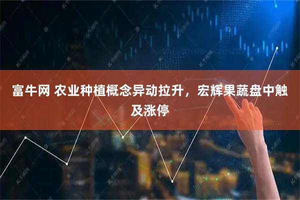 富牛网 农业种植概念异动拉升，宏辉果蔬盘中触及涨停