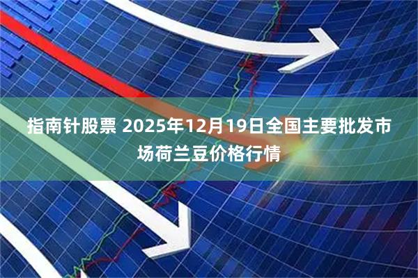 指南针股票 2025年12月19日全国主要批发市场荷兰豆价格行情
