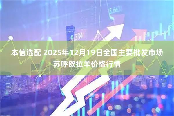 本信选配 2025年12月19日全国主要批发市场苏呼欧拉羊价格行情