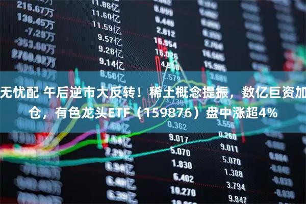 无忧配 午后逆市大反转！稀土概念提振，数亿巨资加仓，有色龙头ETF（159876）盘中涨超4%